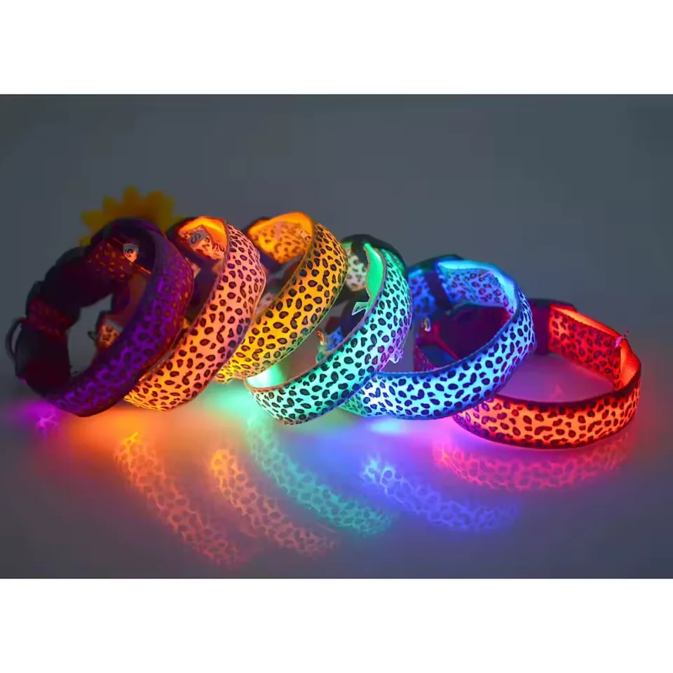 LED evening collar
