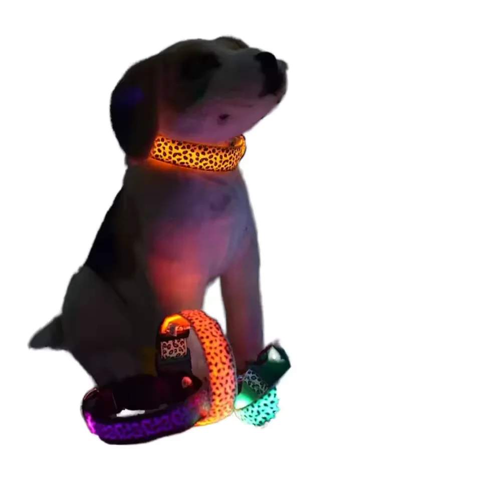 LED evening collar — alternate view