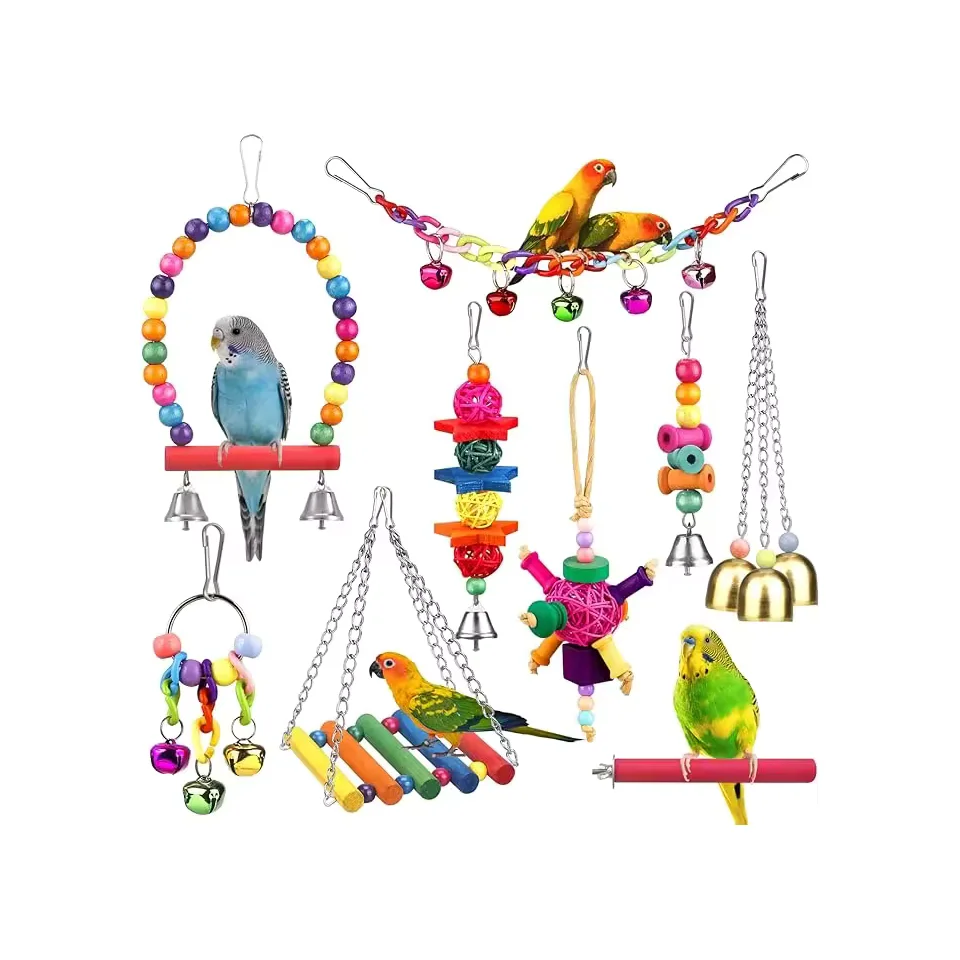 Bird activity set — alternate view